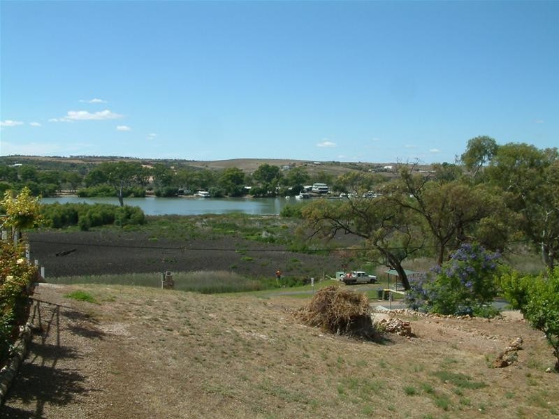 41 Purnong Road, Mannum SA 5238