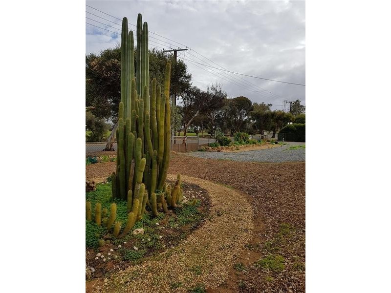 13 & 15 Little Anne Street, Mannum SA 5238