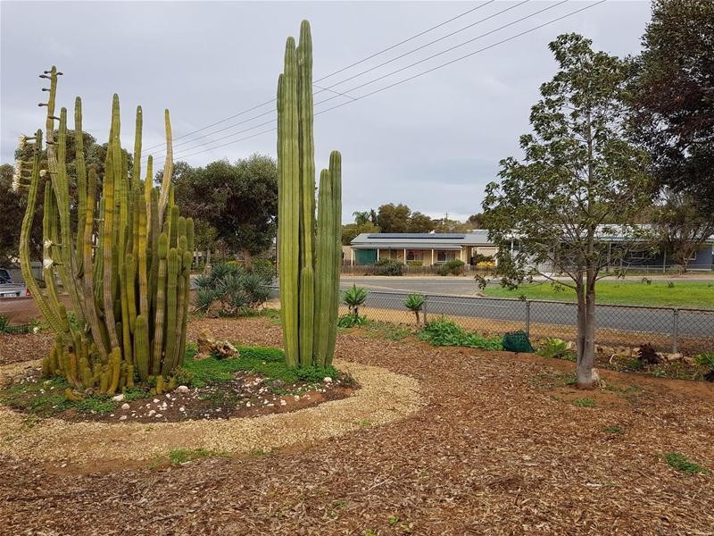 13 & 15 Little Anne Street, Mannum SA 5238