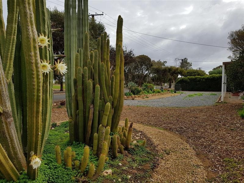 13 & 15 Little Anne Street, Mannum SA 5238