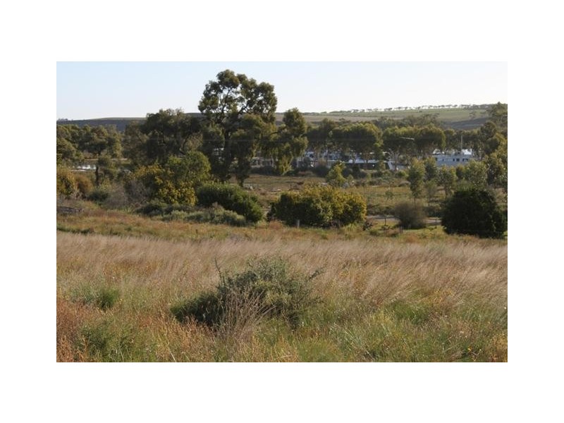 Lot 101 Greenshields Road, Younghusband SA 5238