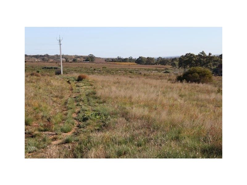 Lot 101 Greenshields Road, Younghusband SA 5238