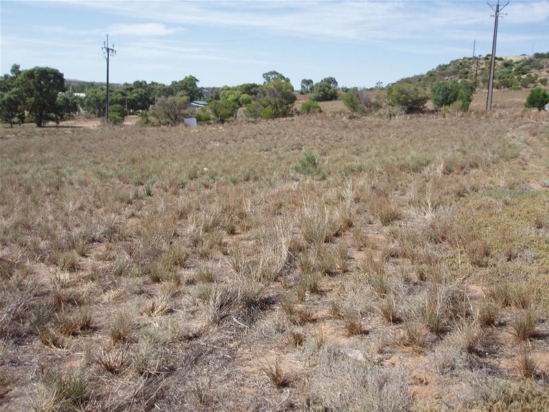 Lot 101 Greenshields Road, Younghusband SA 5238