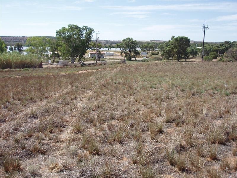 Lot 101 Greenshields Road, Younghusband SA 5238
