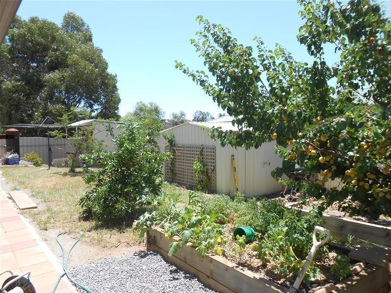 9 Ramm Road, Mannum SA 5238