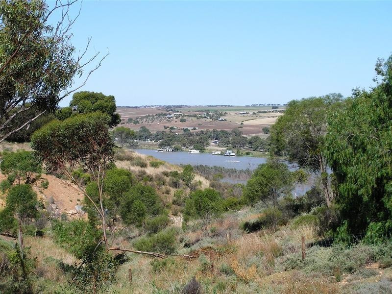 52 Crawford Crescent, Mannum SA 5238