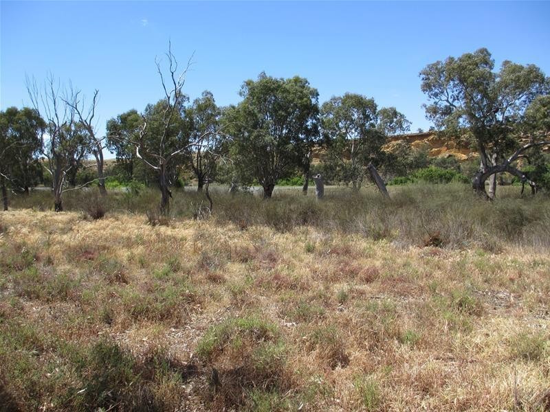 11 Rob Loxton Road, Walker Flat SA 5238