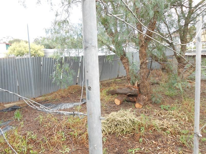 19 Charles Street, Mannum SA 5238