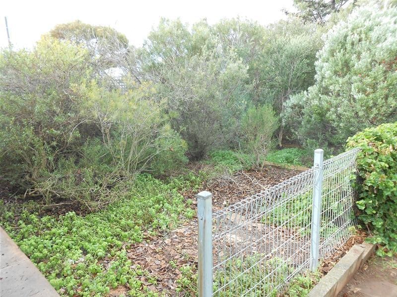 19 Charles Street, Mannum SA 5238