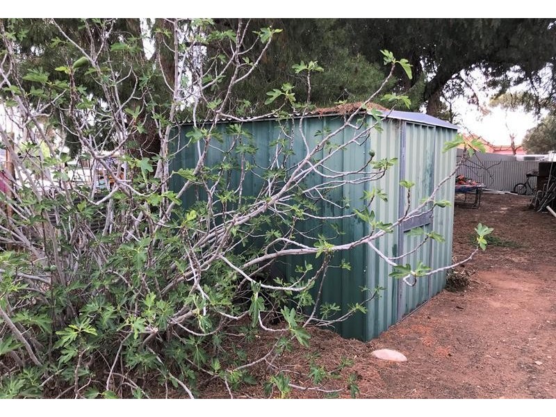 6 Sturt Street, Cambrai SA 5353