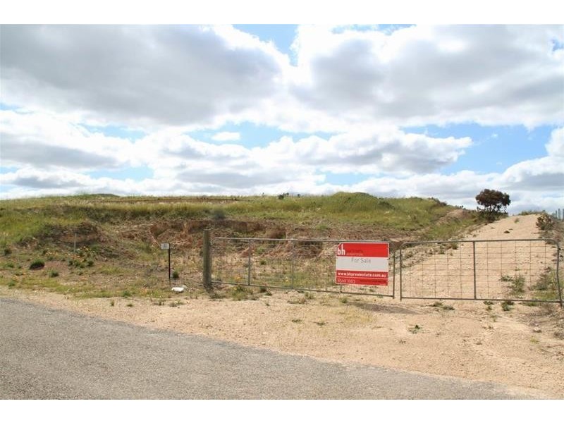 22 Kirkness Road, Mannum SA 5238