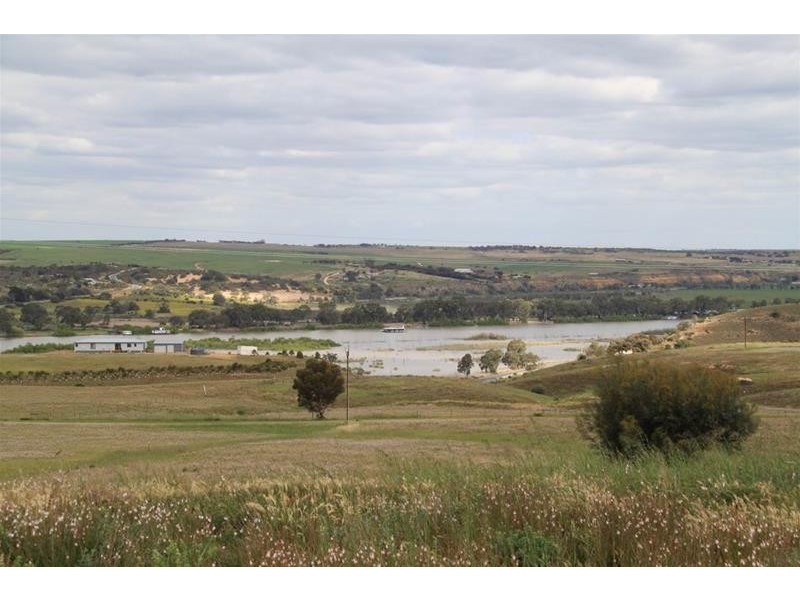 22 Kirkness Road, Mannum SA 5238