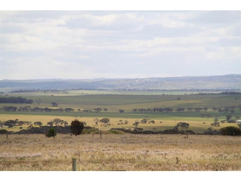 22 Kirkness Road, Mannum SA 5238