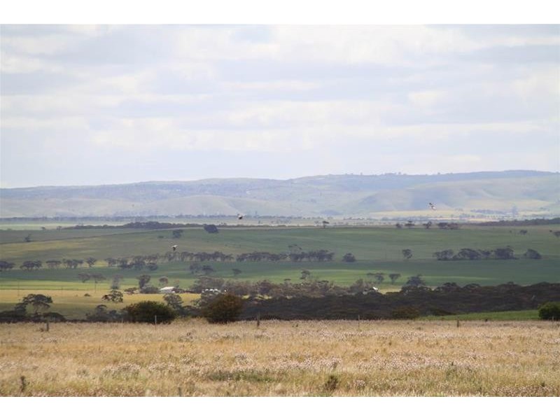 22 Kirkness Road, Mannum SA 5238