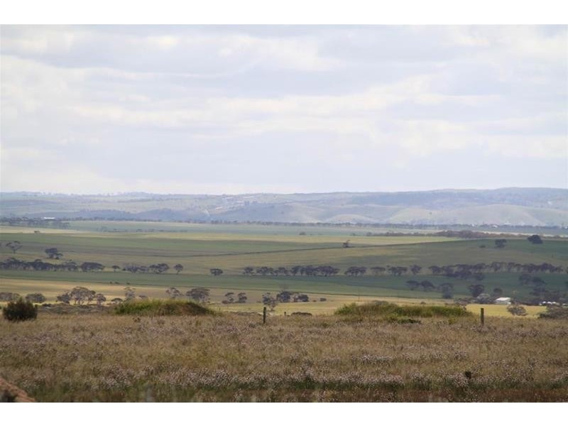 22 Kirkness Road, Mannum SA 5238