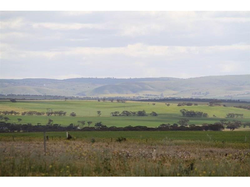 22 Kirkness Road, Mannum SA 5238