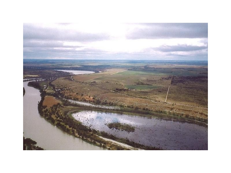 Section 51 Kroehns Landing, Nildottie SA 5238