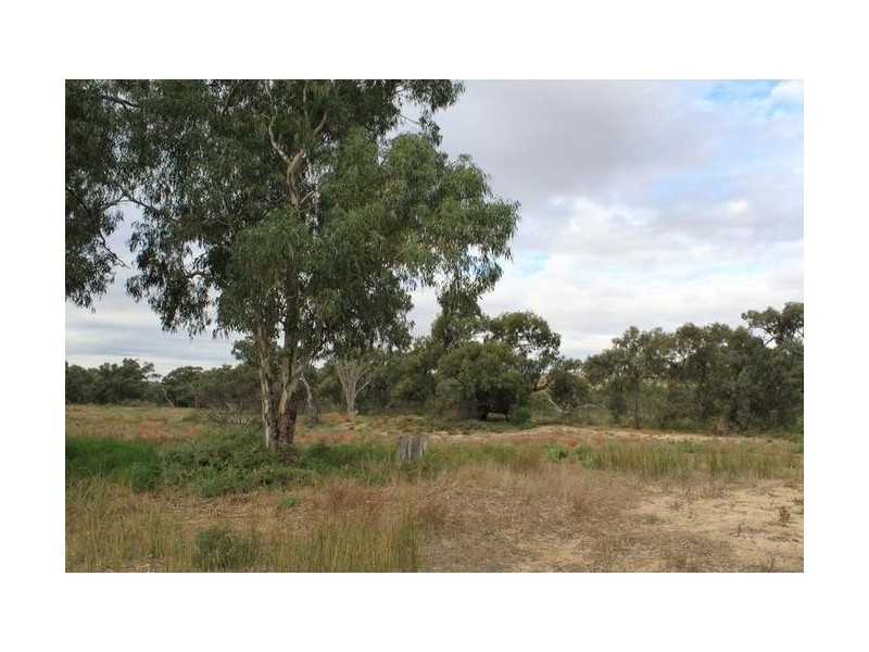 Section 51 Kroehns Landing, Nildottie SA 5238