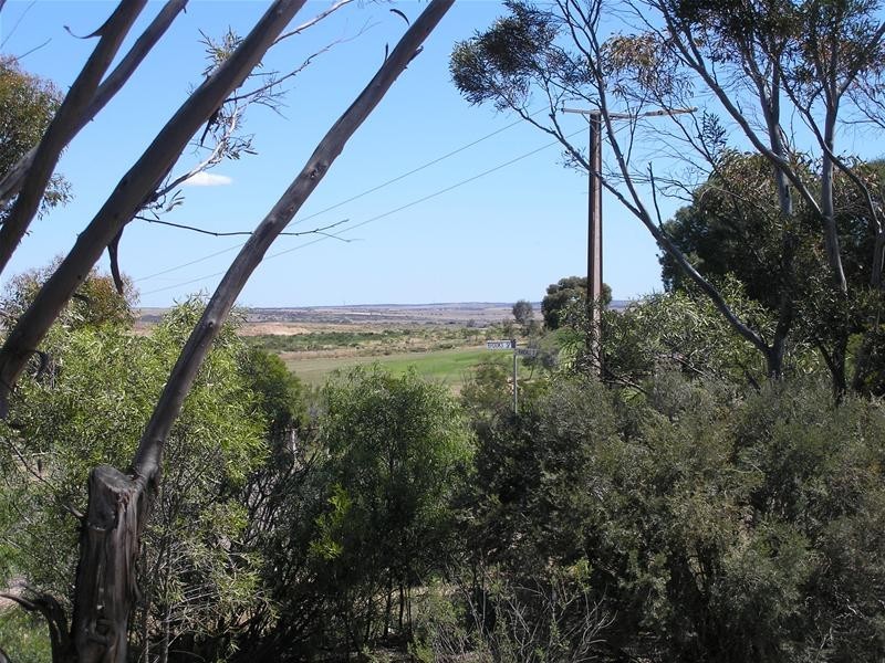 34 Randall Street, Mannum SA 5238