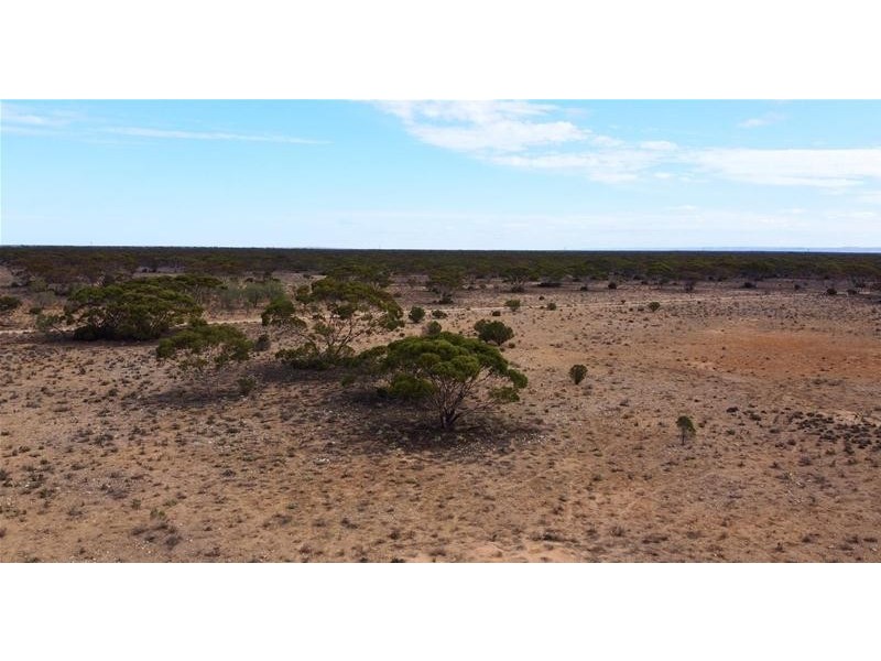 192 Gaston Road, Fisher via, Swan Reach SA 5354