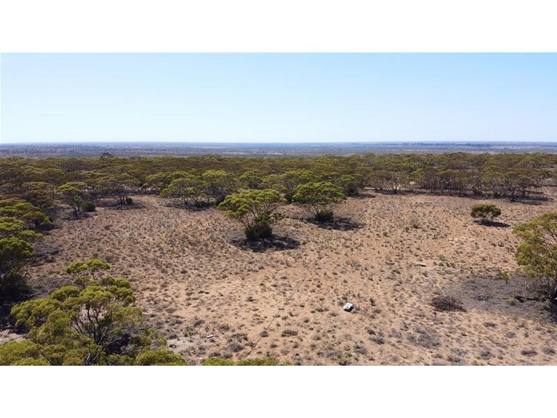 192 Gaston Road, Fisher via, Swan Reach SA 5354