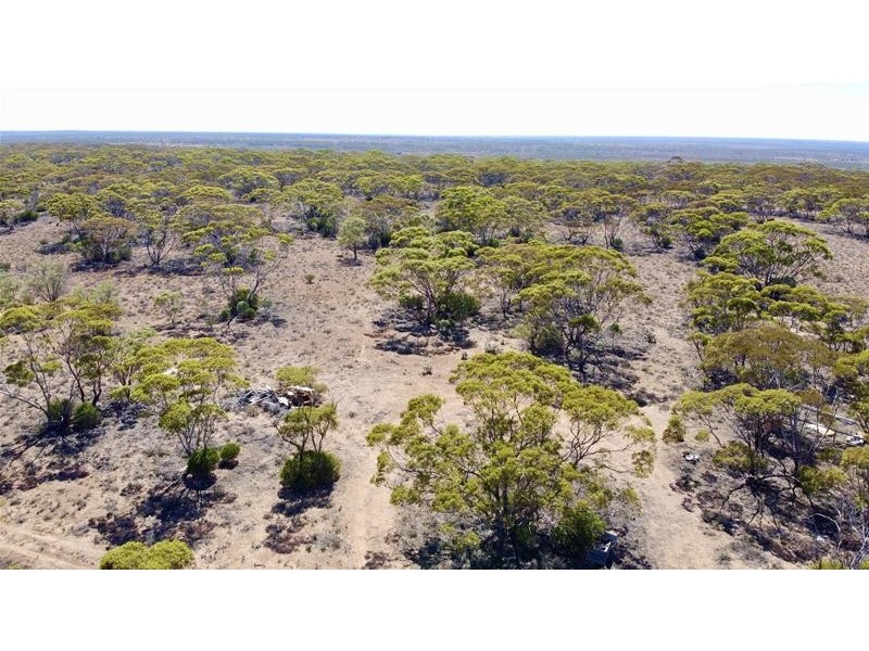 192 Gaston Road, Fisher via, Swan Reach SA 5354