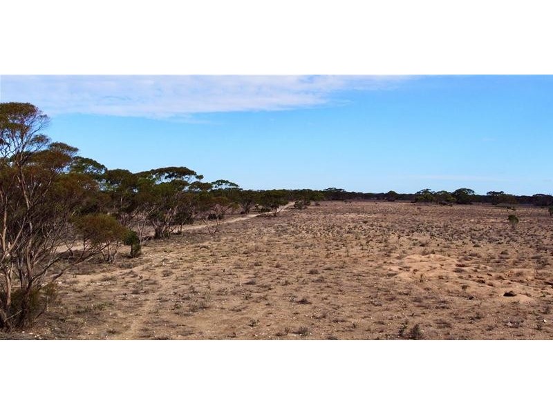 192 Gaston Road, Fisher via, Swan Reach SA 5354