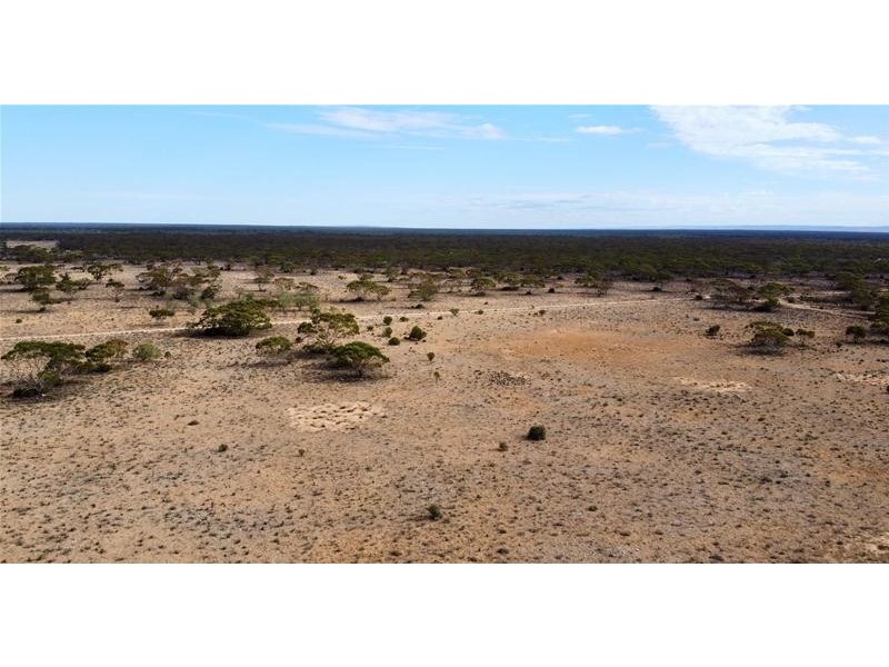 192 Gaston Road, Fisher via, Swan Reach SA 5354