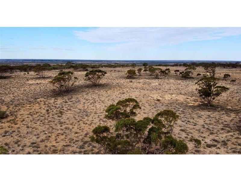 192 Gaston Road, Fisher via, Swan Reach SA 5354