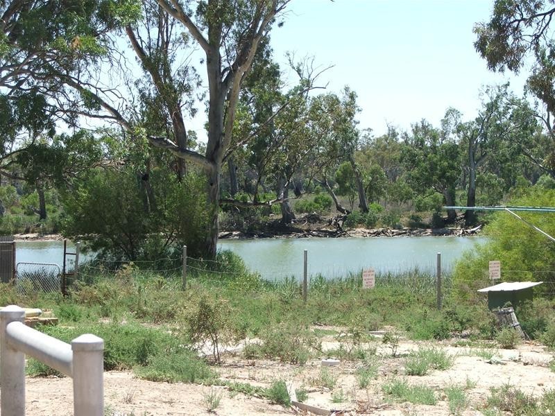 Lot 78 Pelde Street, Punyelroo SA 5354