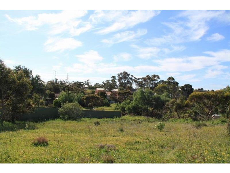 3a Queen Mary Street, Mannum SA 5238