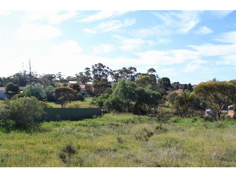 3a Queen Mary Street, Mannum SA 5238