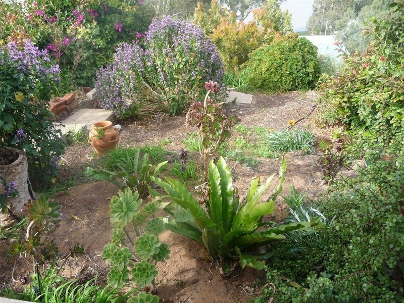 71A Preiss Street, Mannum SA 5238