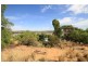 782 East Front Road, Five Miles via, Mannum SA 5238