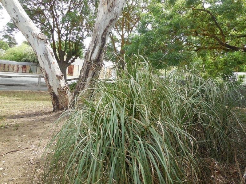 2 Saleyard Road, Mount Pleasant SA 5235