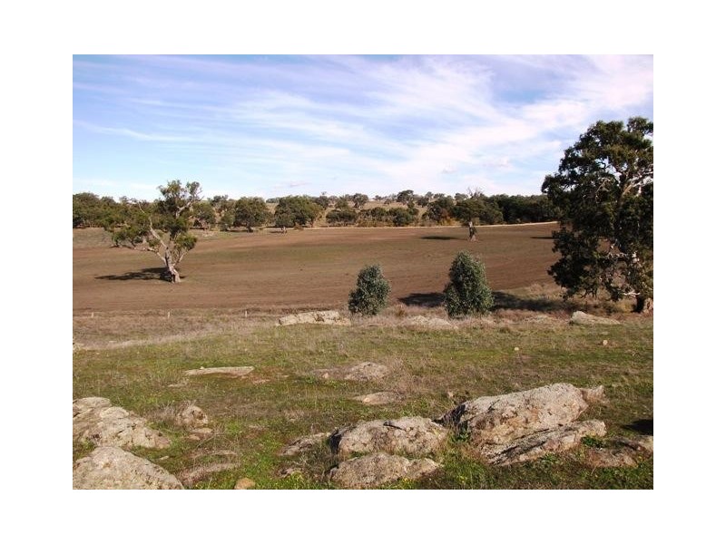 Section 463 McGorman Road, Mount Pleasant SA 5235