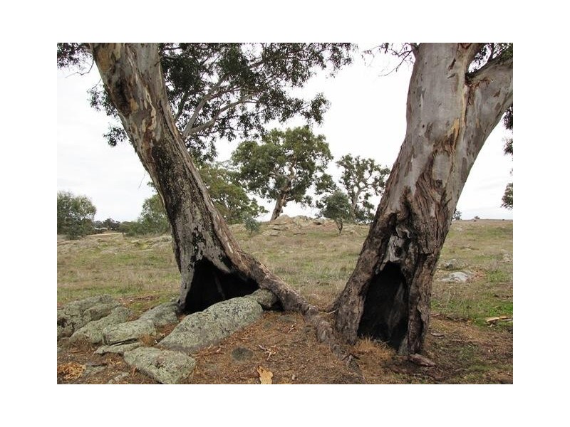 Section 463 McGorman Road, Mount Pleasant SA 5235