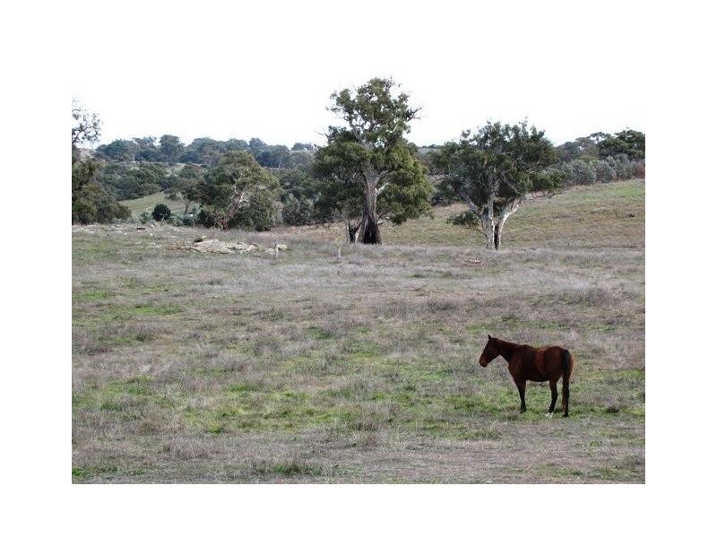 Section 463 McGorman Road, Mount Pleasant SA 5235