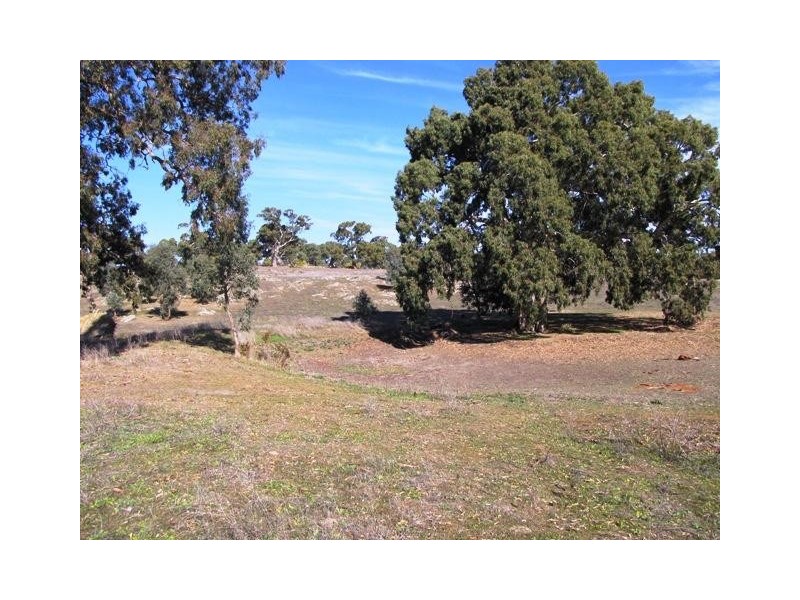 Section 463 McGorman Road, Mount Pleasant SA 5235