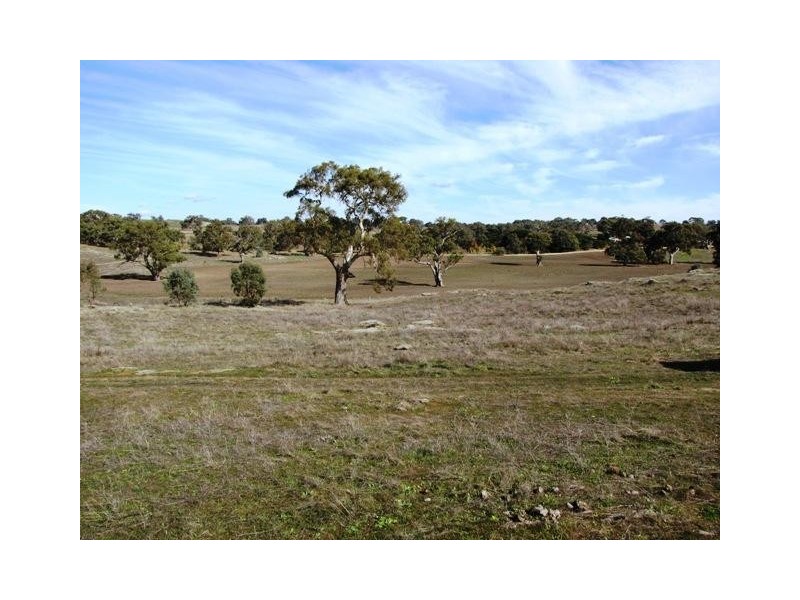 Section 463 McGorman Road, Mount Pleasant SA 5235