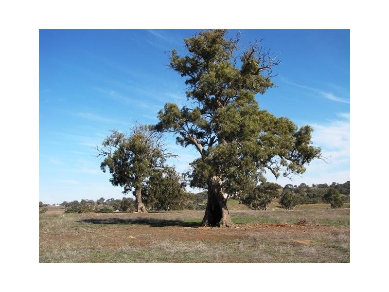 Section 463 McGorman Road, Mount Pleasant SA 5235