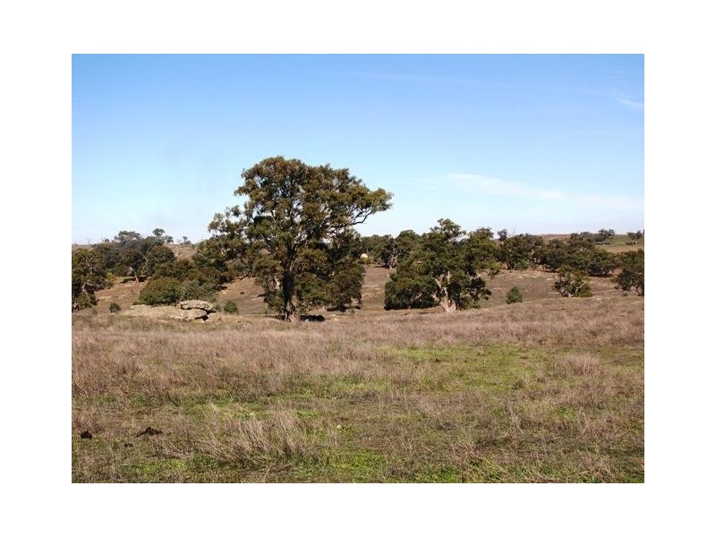 Section 463 McGorman Road, Mount Pleasant SA 5235