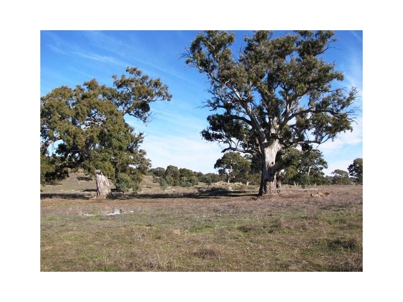 Section 463 McGorman Road, Mount Pleasant SA 5235