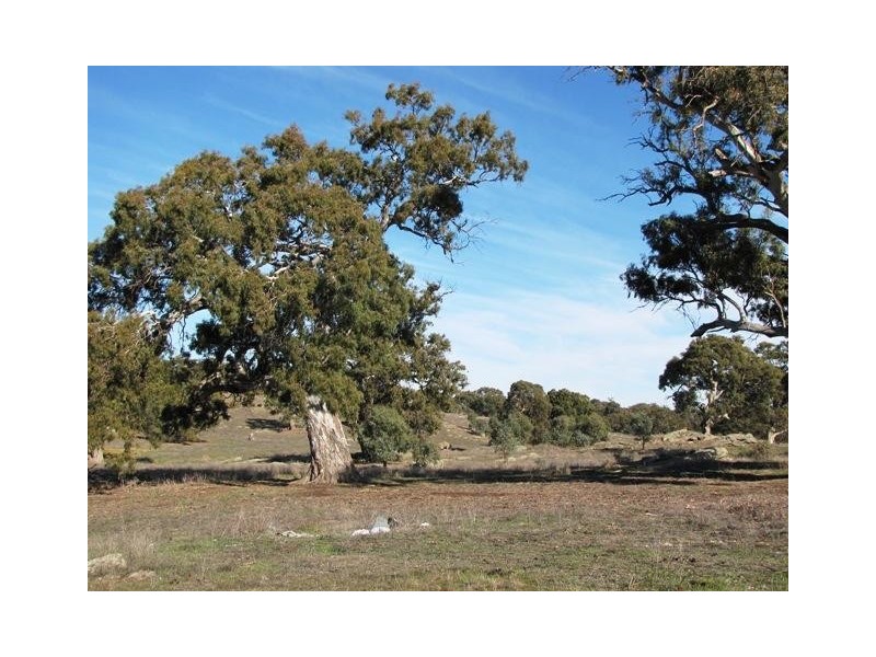 Section 463 McGorman Road, Mount Pleasant SA 5235