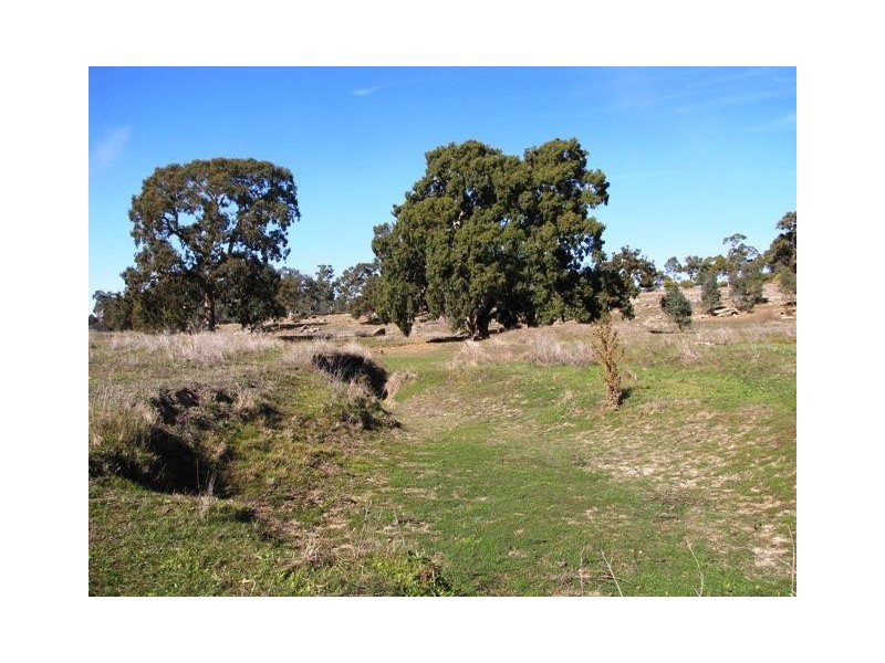 Section 463 McGorman Road, Mount Pleasant SA 5235