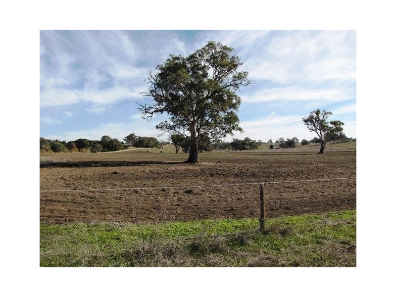 Section 463 McGorman Road, Mount Pleasant SA 5235