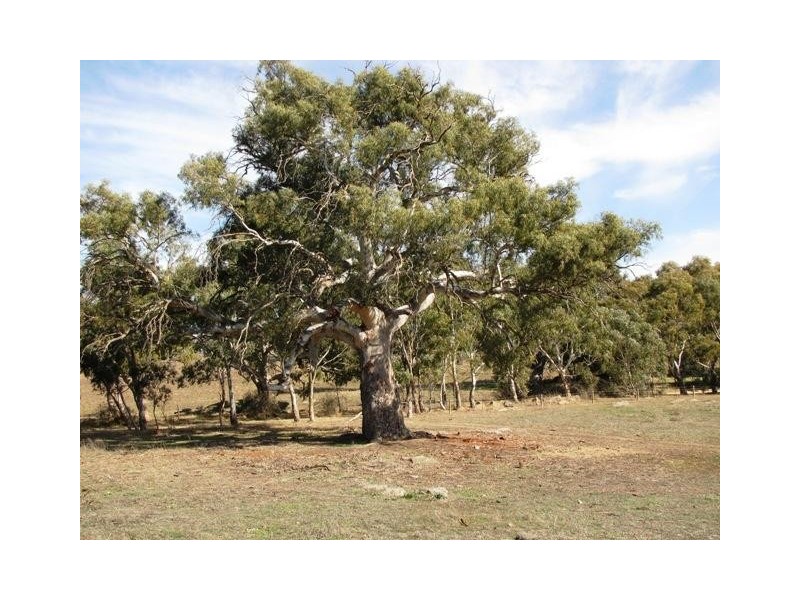 Section 463 McGorman Road, Mount Pleasant SA 5235