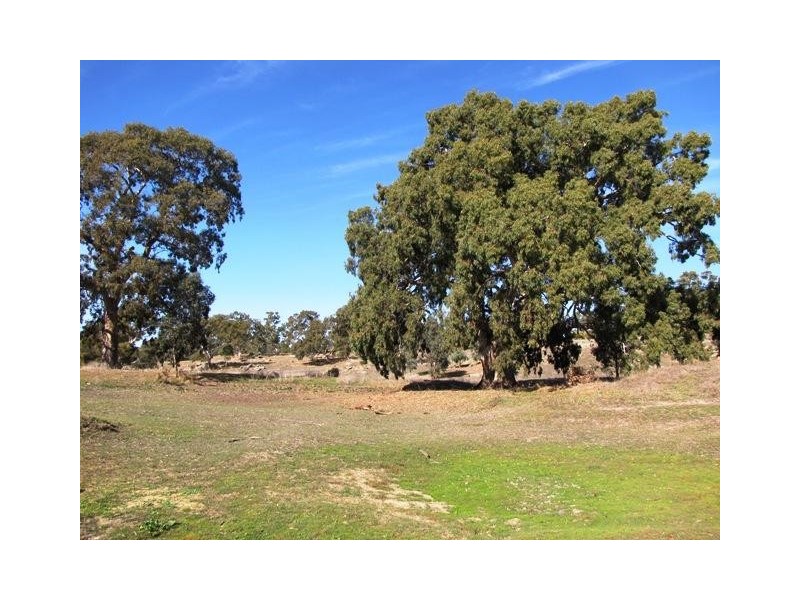 Section 463 McGorman Road, Mount Pleasant SA 5235