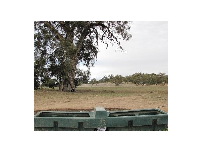 Section 463 McGorman Road, Mount Pleasant SA 5235