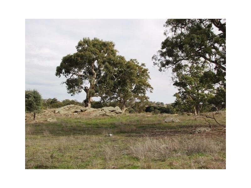 Section 463 McGorman Road, Mount Pleasant SA 5235